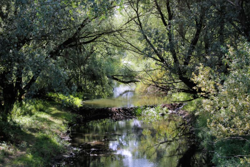 Fluss Tanger, Tangermünde Fluss Tanger, Tangermünde