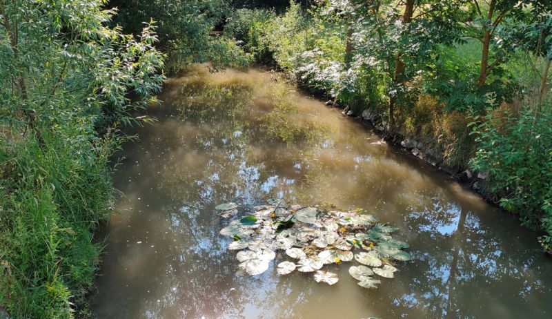 Fluss Wern, Werneck Fluss Wern, Werneck