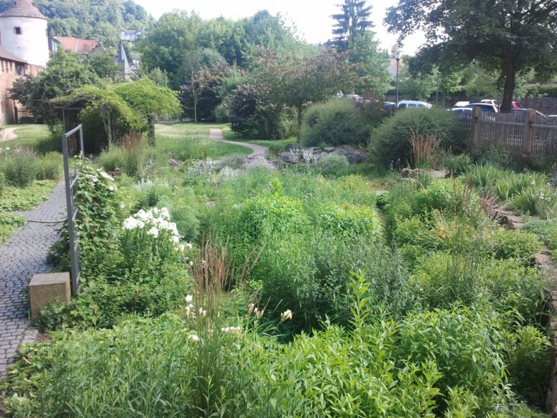 Garten Kölsch, Büdingen Garten Kölsch, Büdingen