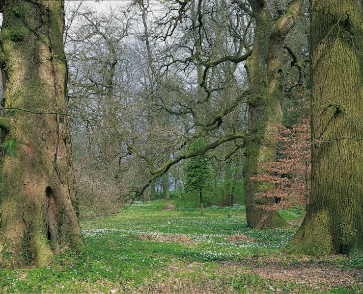 Gutspark Dammereez, Dersenow Gutspark Dammereez, Dersenow