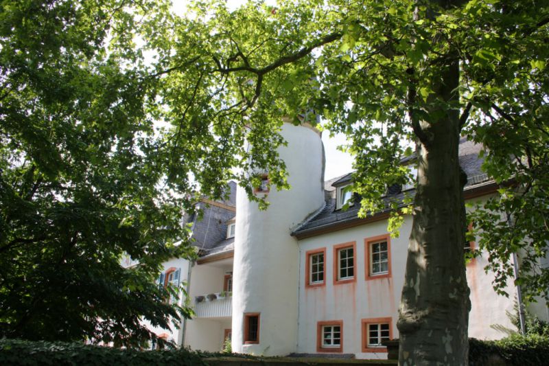 Hattsteiner Hof, Münzenberg