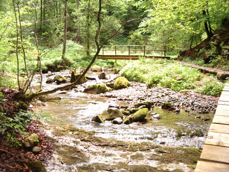 Hausbachklamm, Oberreute