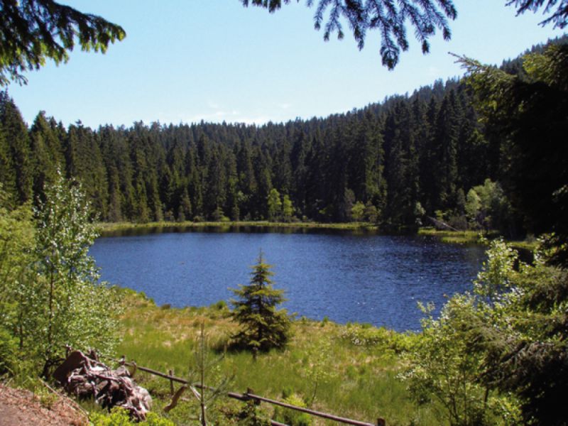 Herrenwieser See, Forbach Herrenwieser See, Forbach