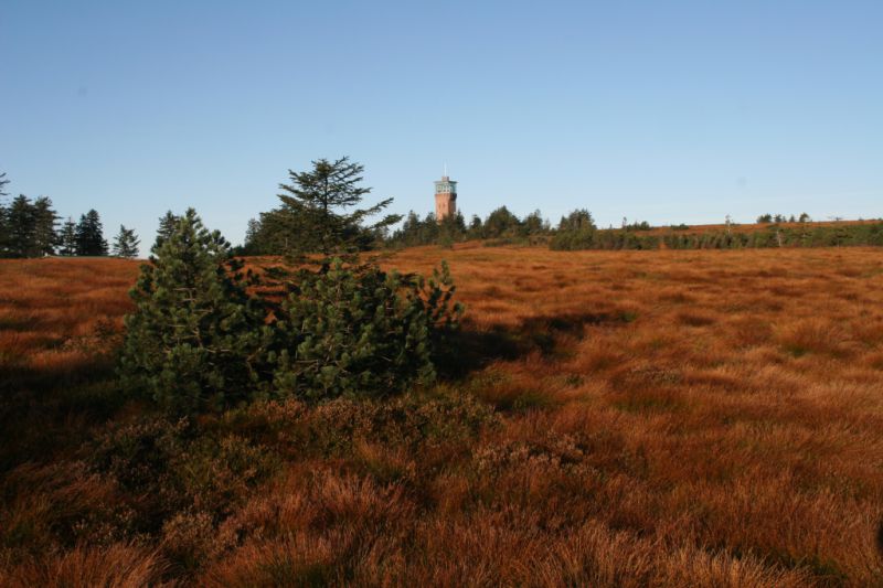 Hornisgrinde, Seebach