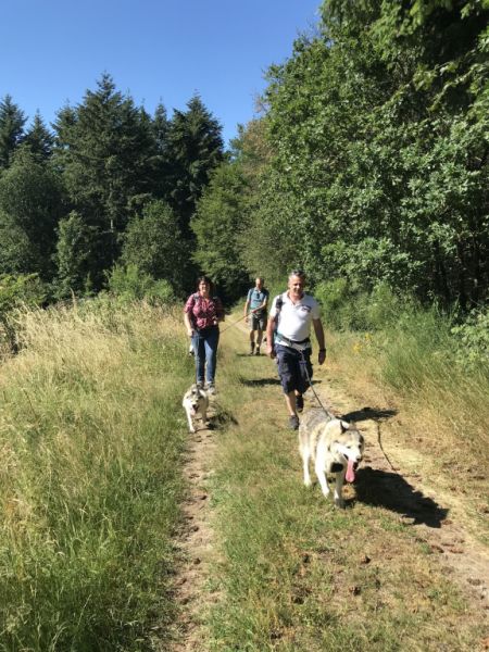 Natur-Erlebnispark, Bell (Hunsrück)