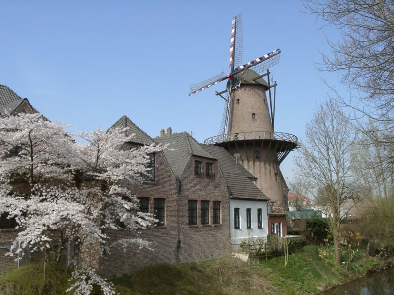 Windmühle, Kalkar Windmühle, Kalkar