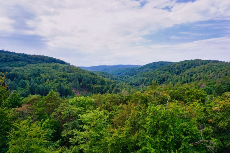 Kellerwaldsteig, Vöhl Kellerwaldsteig, Vöhl