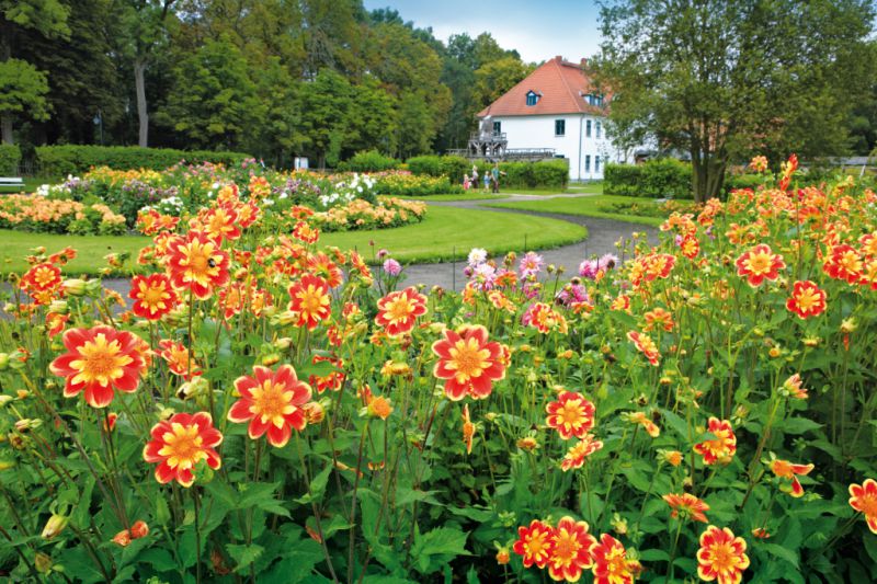 Kurpark, Bad Sülze Kurpark, Bad Sülze