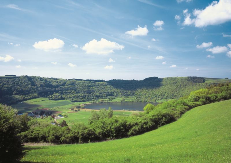 Meerfelder Maar, Meerfeld