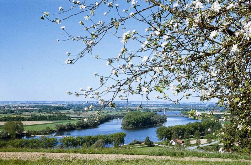 Donauinsel, Metten Donauinsel, Metten