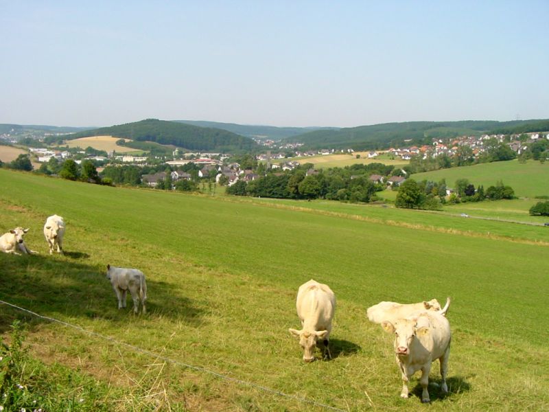 Milchweg, Sundern Milchweg, Sundern