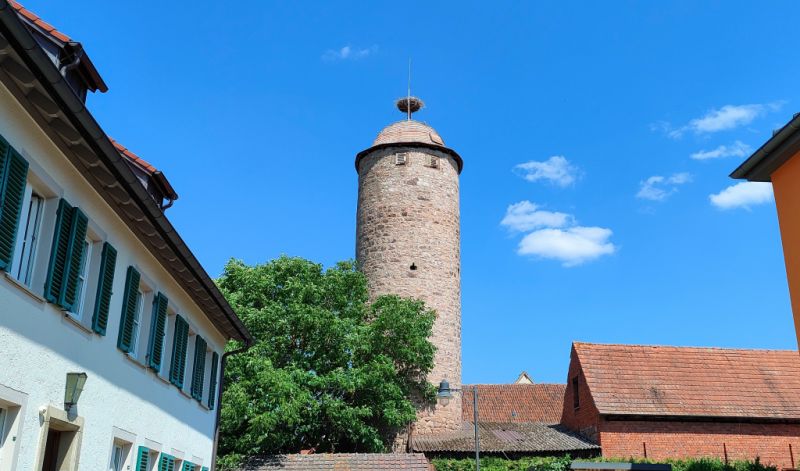 Mönchsturm, Hammelburg