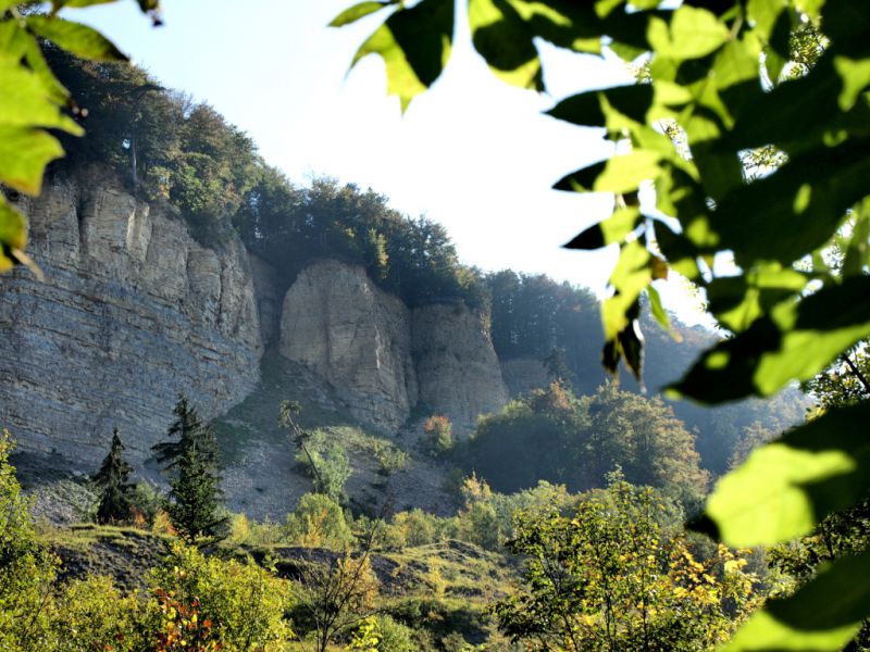 Mössinger Bergrutsch, Mössingen Mössinger Bergrutsch, Mössingen