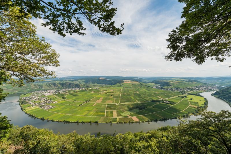 Moselschleife, Piesport Moselschleife, Piesport