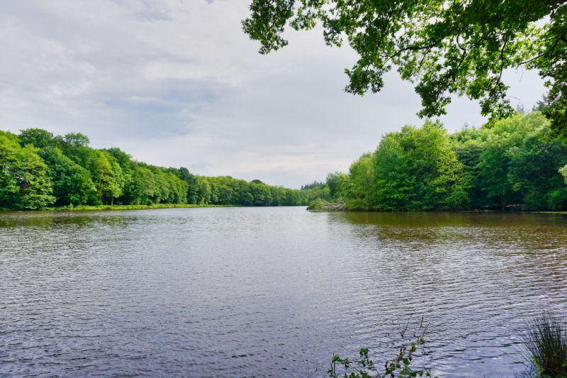 Mühlenteich, Varel Mühlenteich, Varel