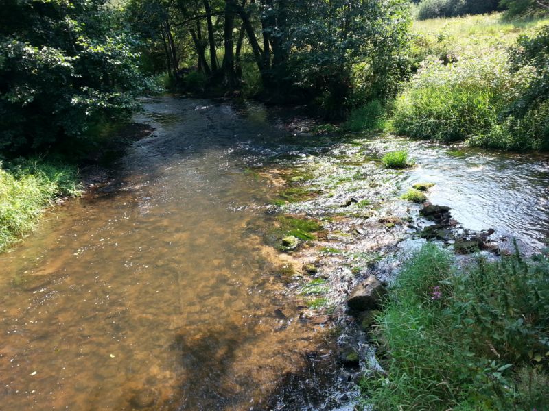 Fluss Sinn, Sinntal