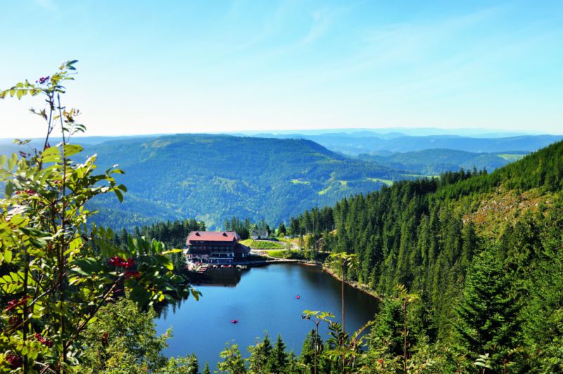 Mummelsee, Seebach