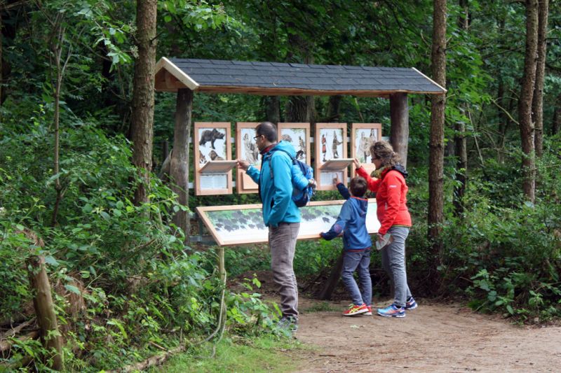 Bärenwald Müritz, Waren Bärenwald Müritz, Waren