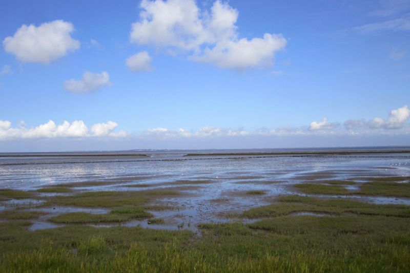 Wattenmeer, Norden