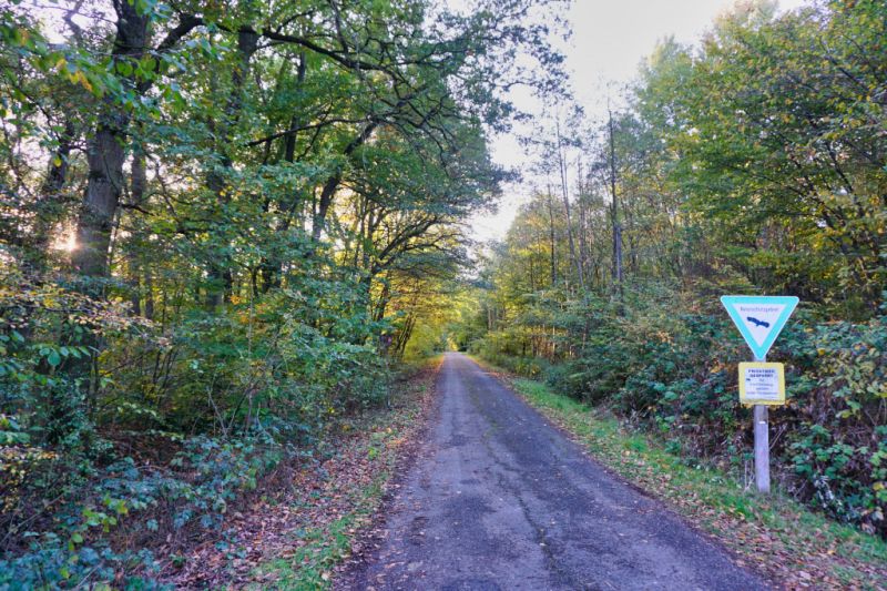 Naturschutzgebiet Heisterholz, Petershagen Naturschutzgebiet Heisterholz, Petershagen