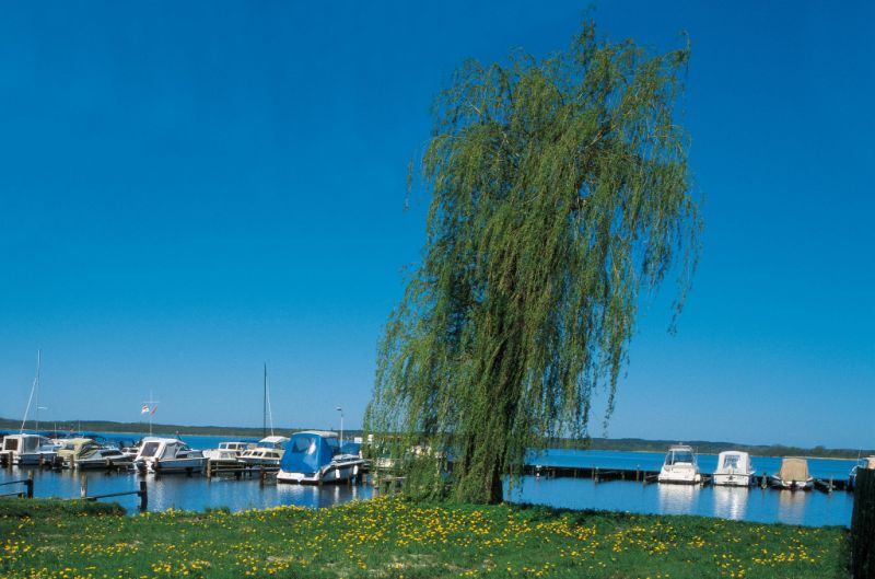 Hafen, Neustrelitz Hafen, Neustrelitz