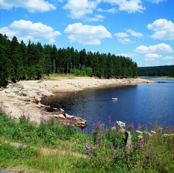Oderteich, Braunlage Oderteich, Braunlage