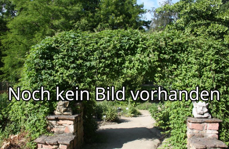 Historische Kuranlagen Wilhelmsbad, Hanau Historische Kuranlagen Wilhelmsbad, Hanau