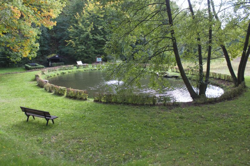 Parkanlage mit Tretbecken und Wildblumenwiese, Bad Endbach