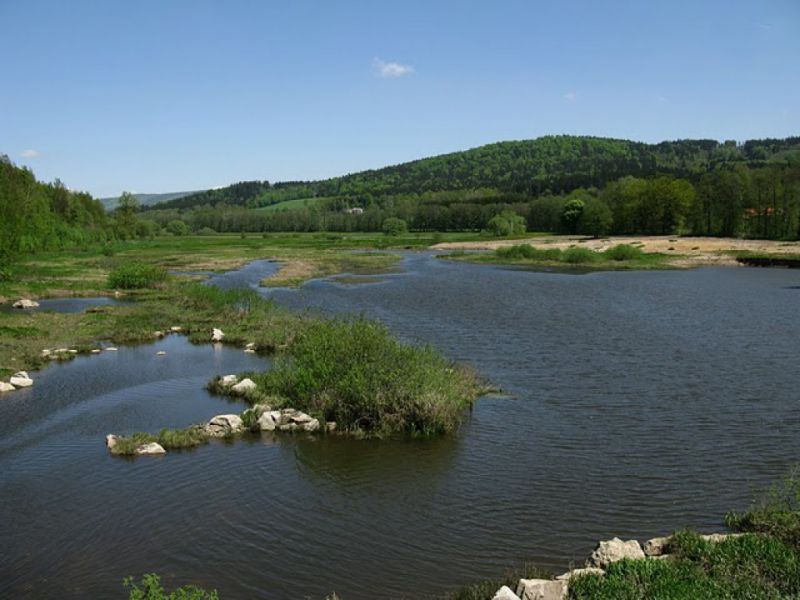 Perlsee, Waldmünchen