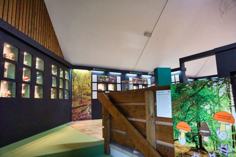 Pilzkunde-Museum, Bad Laasphe Pilzkunde-Museum, Bad Laasphe