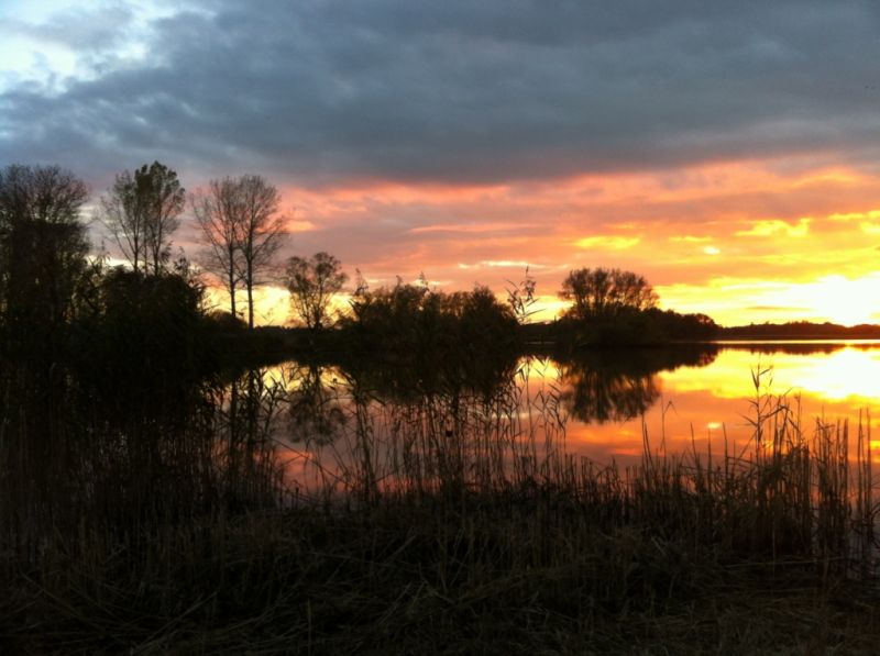 Wardersee, Pronstorf