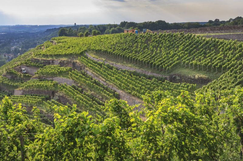 Historische Weinberglandschaft, Radebeul