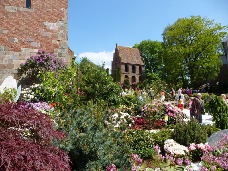 Rhodo, Westerstede