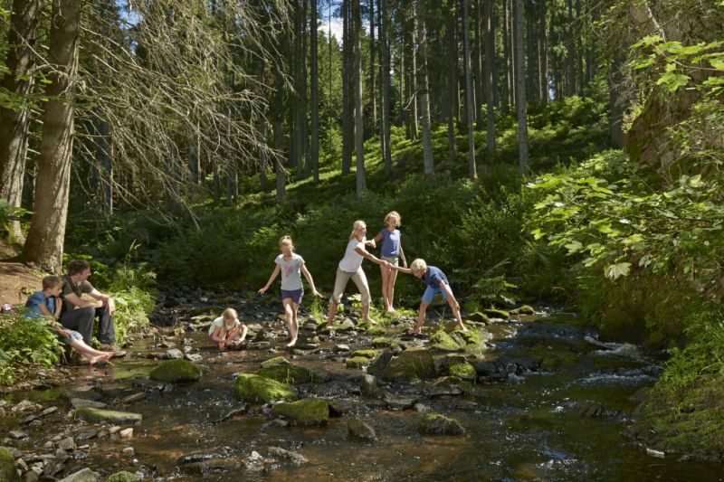 Rötenbachschlucht, Friedenweiler