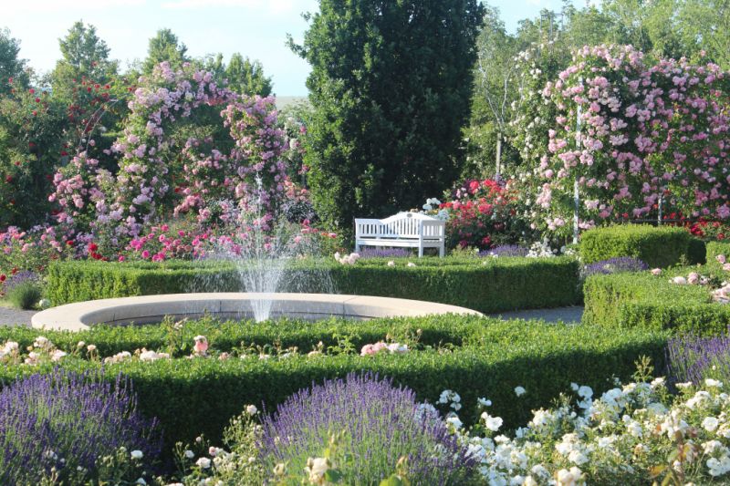 Europa-Rosarium, Sangerhausen Europa-Rosarium, Sangerhausen