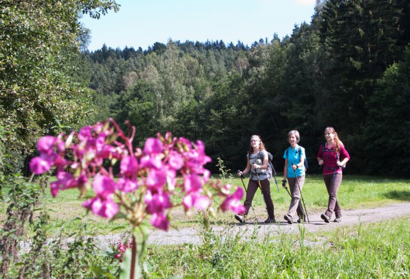 Sauerbachtal, Windischeschenbach Sauerbachtal, Windischeschenbach