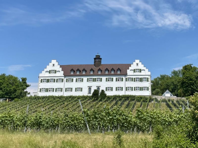 Schloss Hersberg, Immenstaad