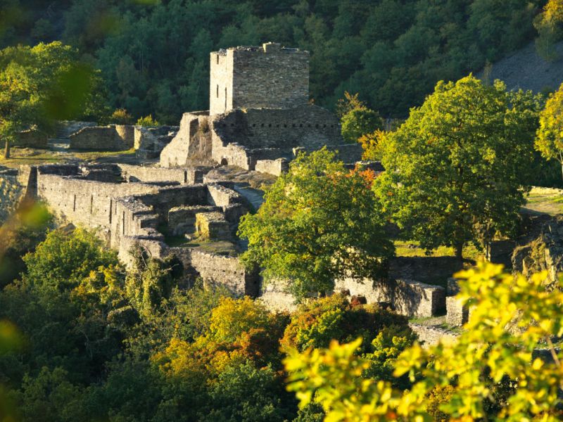 Burgruine Schmidtburg, Schneppenbach