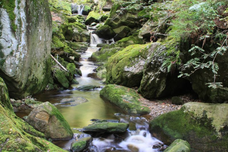 Steinklamm, Spiegelau Steinklamm, Spiegelau