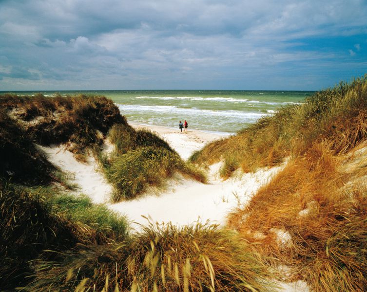 Strand, Prerow