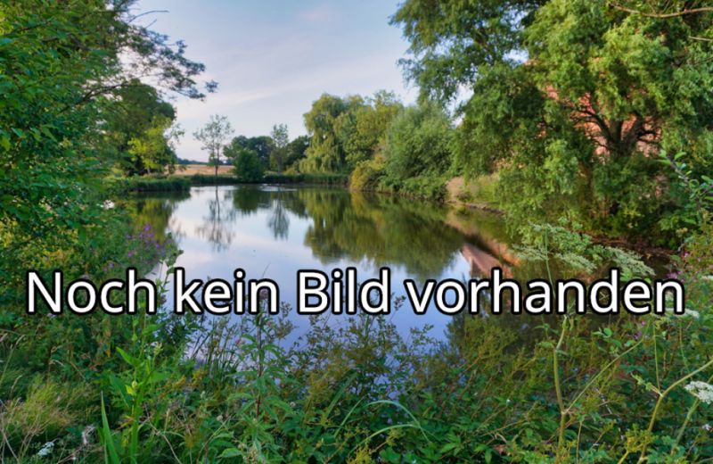 Teich des Natur- und Vogelschutzverein Glauburg, Glauburg