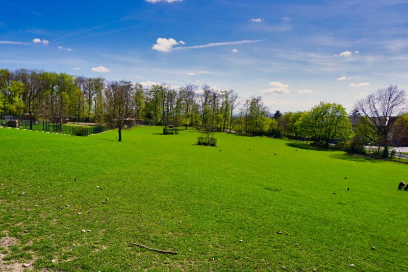 Tiergehege Höxberg, Beckum