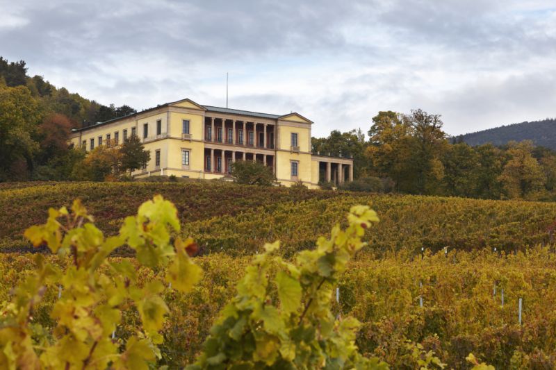 Schloss Ludwigshöhe, Edenkoben