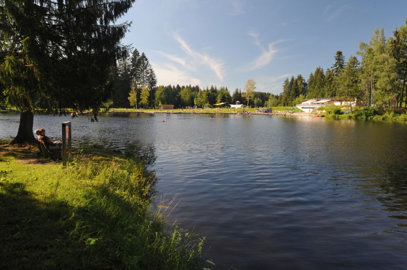 Waldsee, Lindenberg