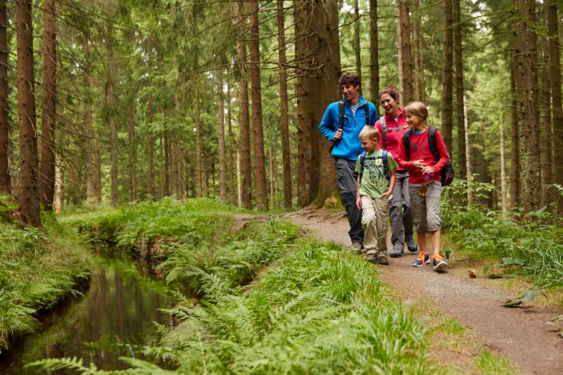 Nationalpark Harz, Braunlage