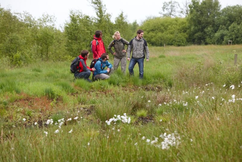 Naturpark Moor, Twist