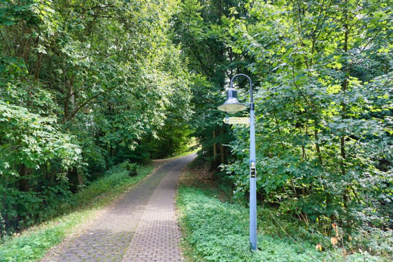 Burg Löwenstein-Weg, Bad Zwesten