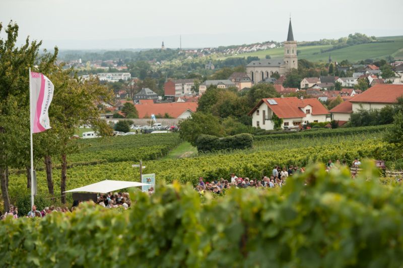 Bodenheimer Weinlehrpfad, Bodenheim