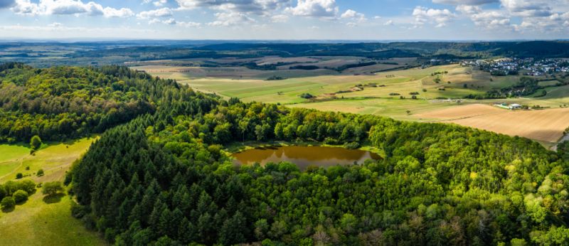 Windsborn Kratersee, Bettenfeld