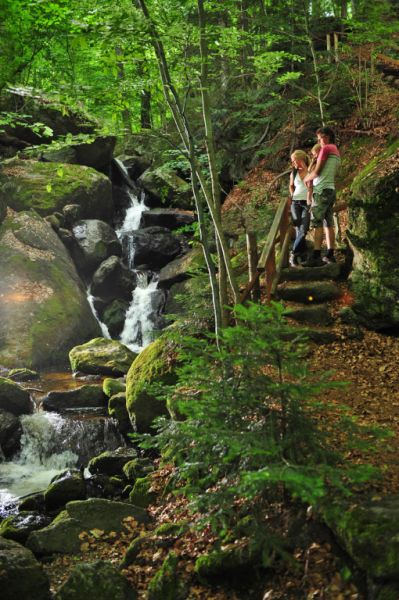 Waldviertel, Niederösterreich